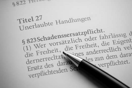 Gesetze richtig lesen und verstehen